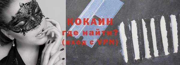 прущие грибы Михайловка