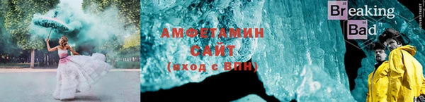 прущие грибы Михайловка
