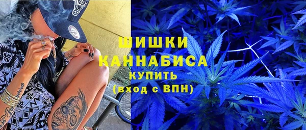 прущие грибы Михайловка