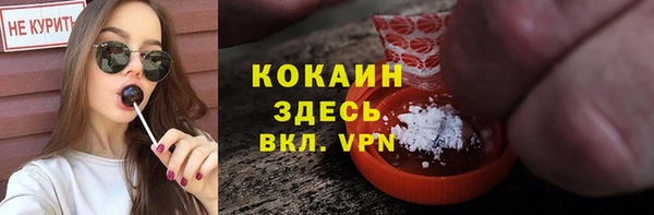 прущие грибы Михайловка