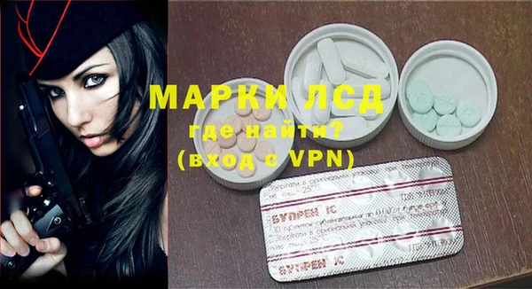 прущие грибы Михайловка