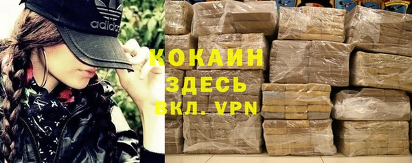 прущие грибы Михайловка