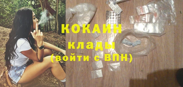 прущие грибы Михайловка