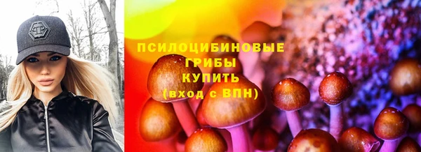 метадон Михайлов