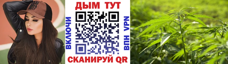 Бошки марихуана Bruce Banner Весьегонск